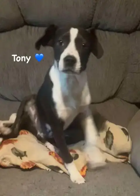 Tony photo 2