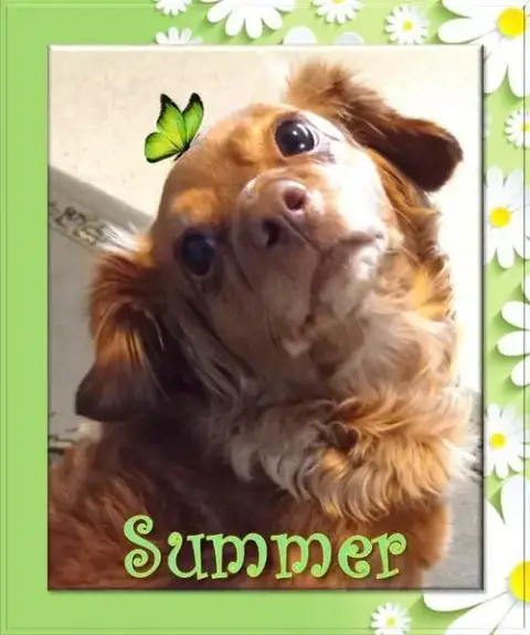 Summer