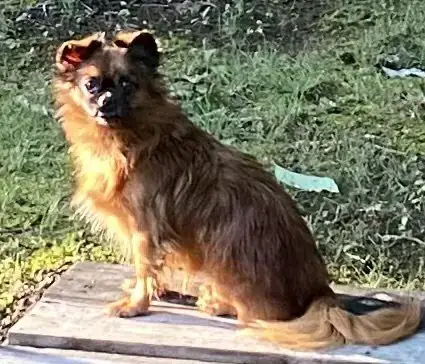 General “Zip:” Not At Shelter