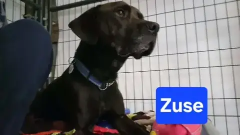 Zuse photo 4