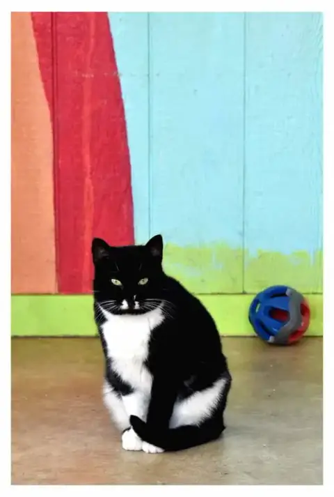 Arturo photo 4