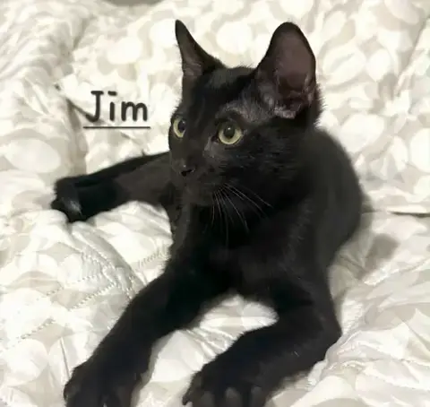 Jim #Beam