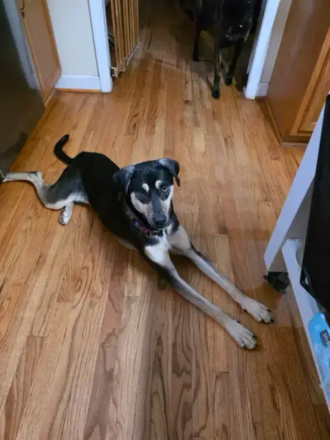 Jinx