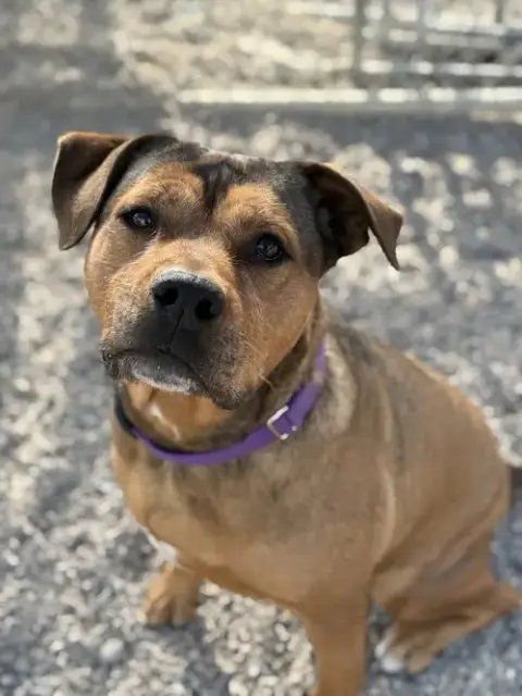Maggie