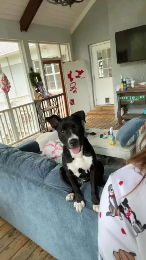 Amy