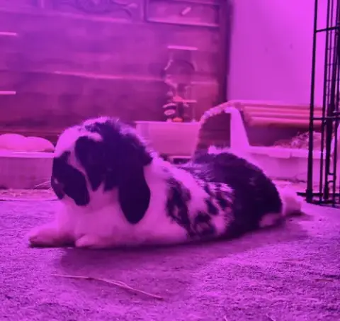 Charlie photo 3