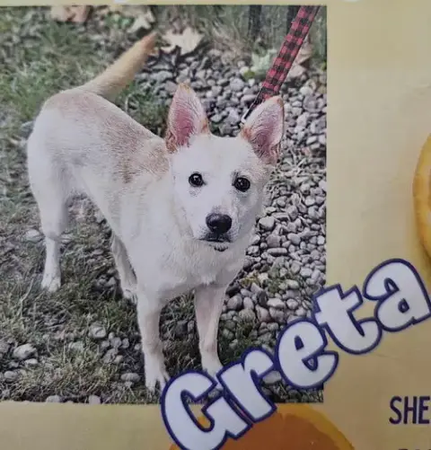 Greta photo 2
