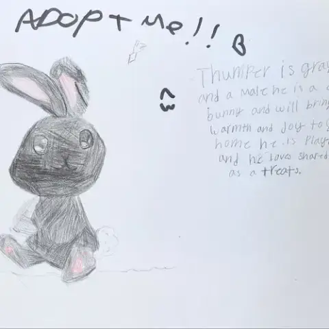 Thumper photo 5