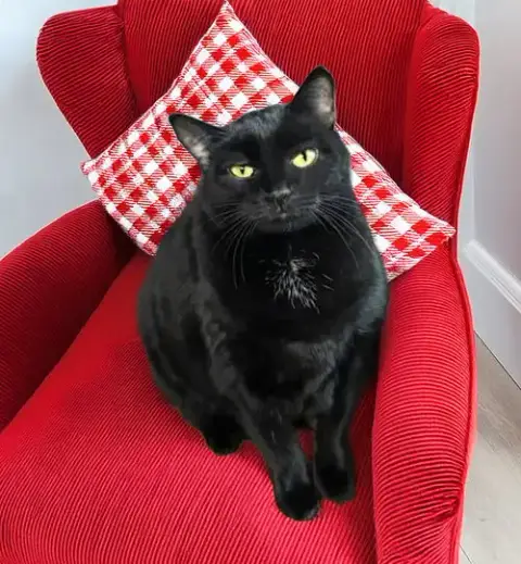 Luna