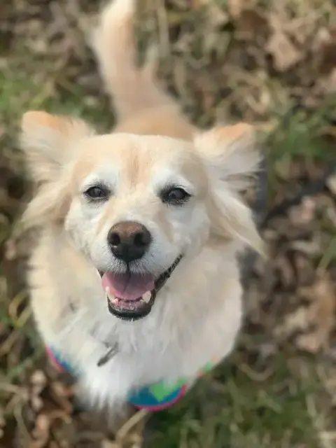 Sadie May 26 Bonded To Peanut May 26