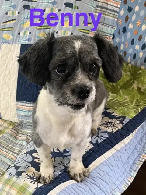 Benny