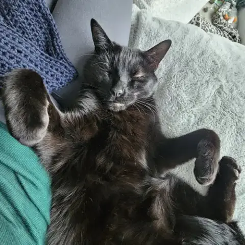 Quincy photo 3
