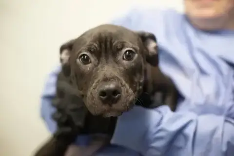 Fiona