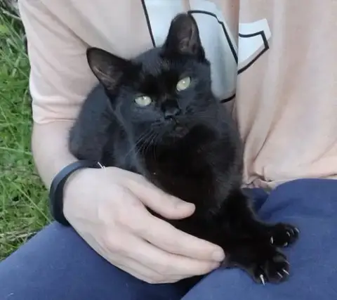 Ellie