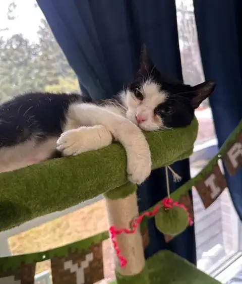 Kiki photo 3