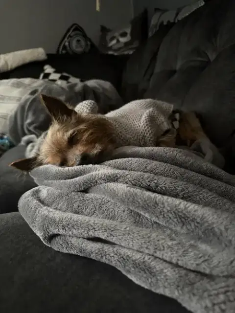 Ripley photo 4