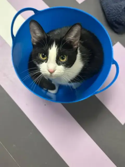 Minni