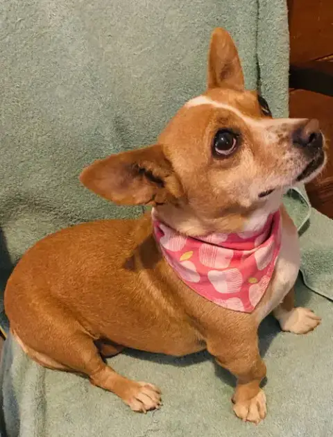 Chiquita photo 2