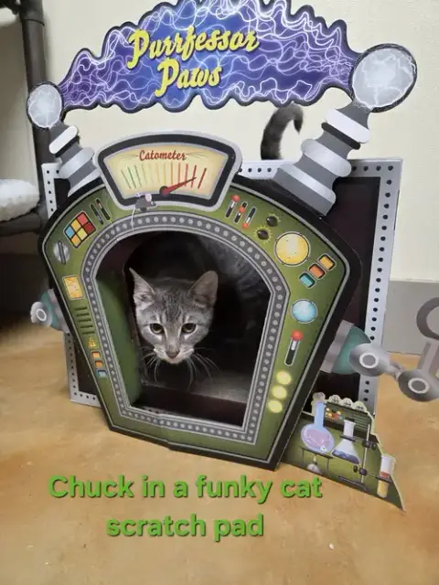 Chuck photo 3