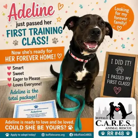 Adeline photo 2