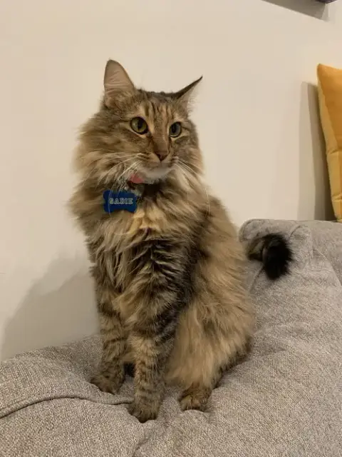 Sadie photo 4