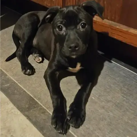 Cash