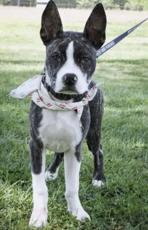Oswald photo 2
