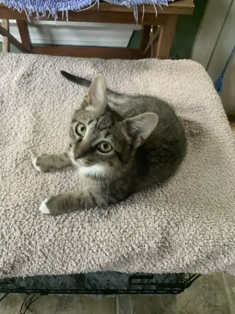Axle photo 3