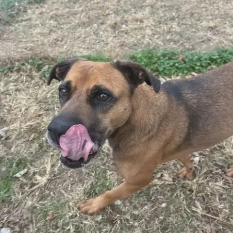 Stella photo 2