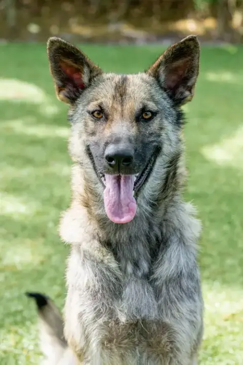 Maya photo 3