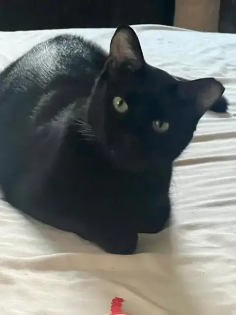 Pablo