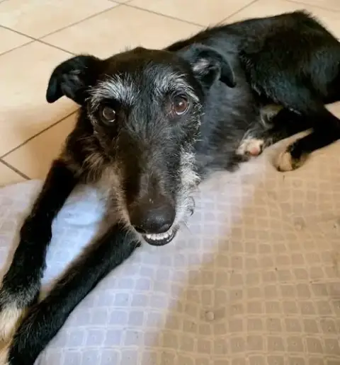 Sam photo 4