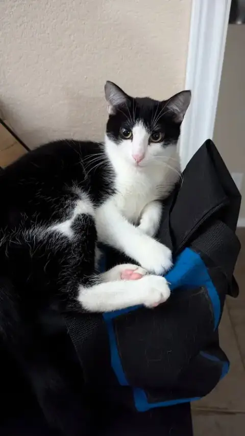 Sophie W photo 4