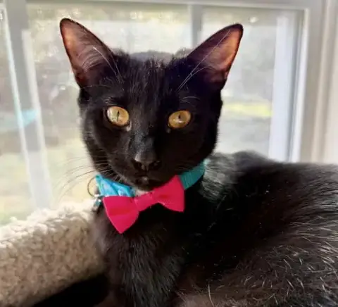 Purretha Franklin photo 2