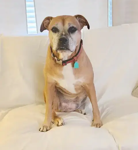 Delilah photo 2