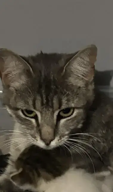 Zoe