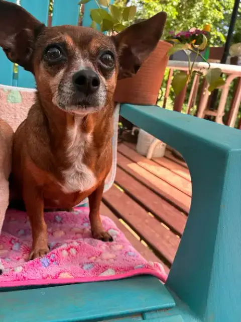 Ellie Mae Jun 25 photo 2