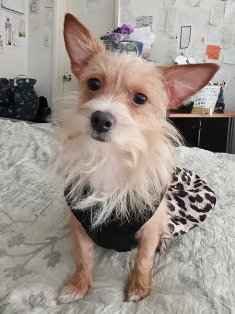 Lady photo 4