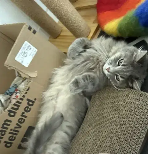 Mila
