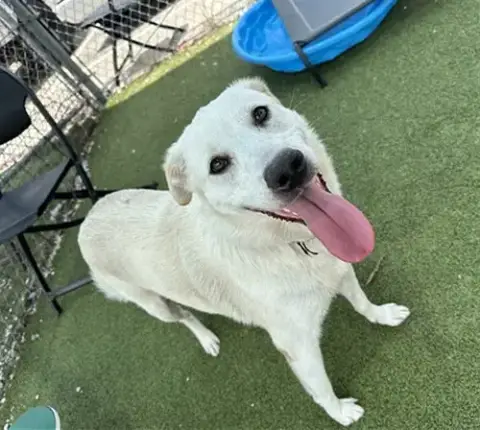 Zeus