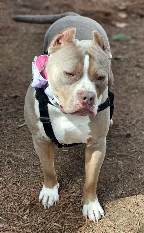 Trudy photo 3