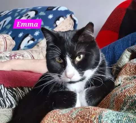 Emma photo 3