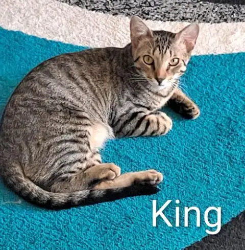 King