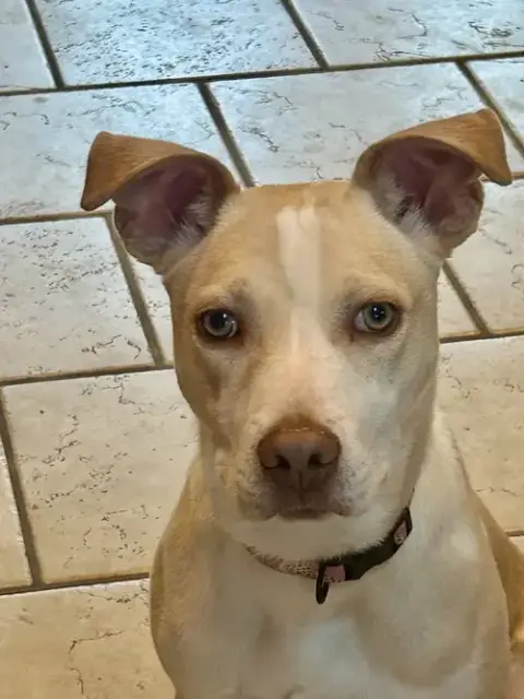 Penelope photo 4