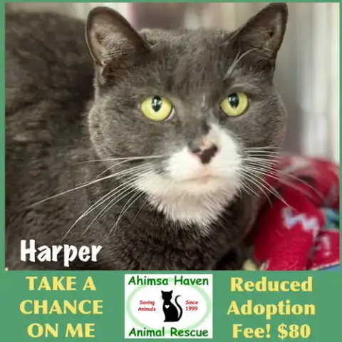 Harper