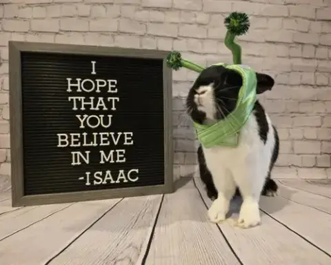 Isaac photo 2