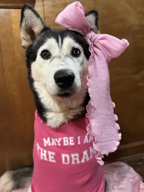 Niki