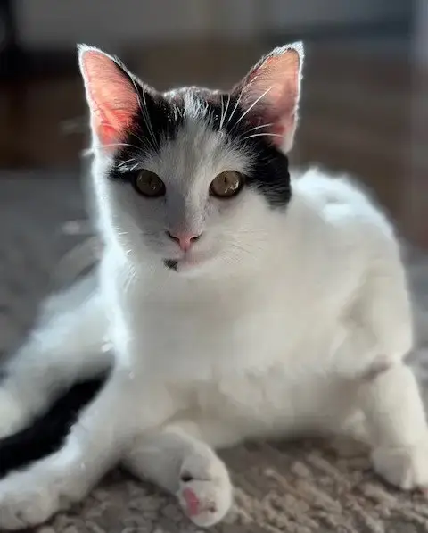 Blanca photo 5