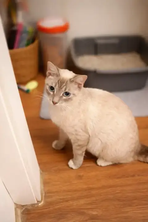 Rita