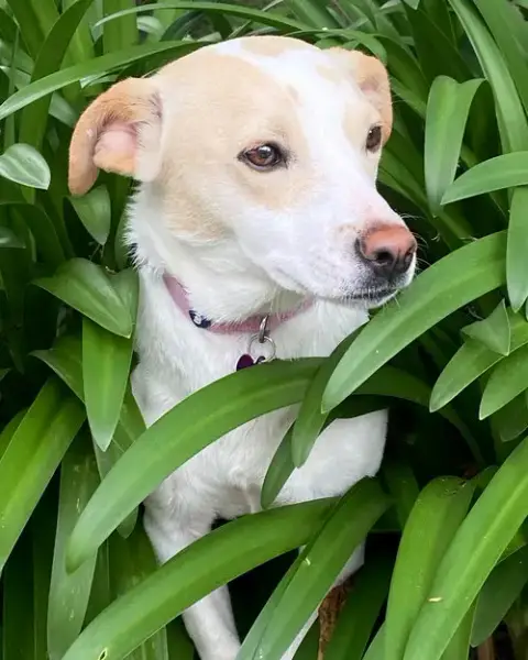 Addie photo 4